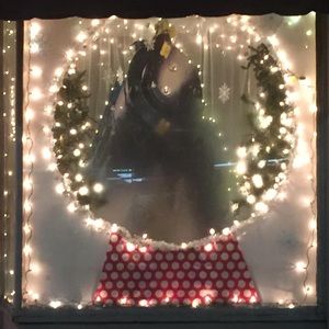 Meet your Posher, Klynn